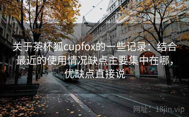 关于茶杯狐cupfox的一些记录：结合最近的使用情况缺点主要集中在哪，优缺点直接说