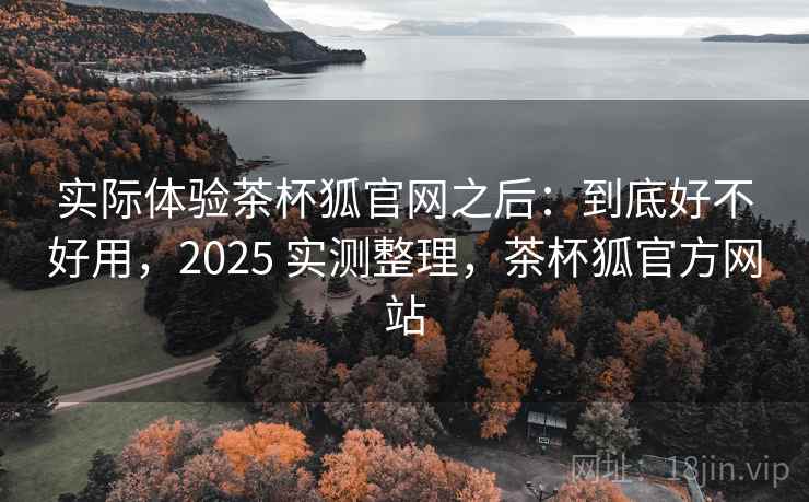 实际体验茶杯狐官网之后：到底好不好用，2025 实测整理，茶杯狐官方网站