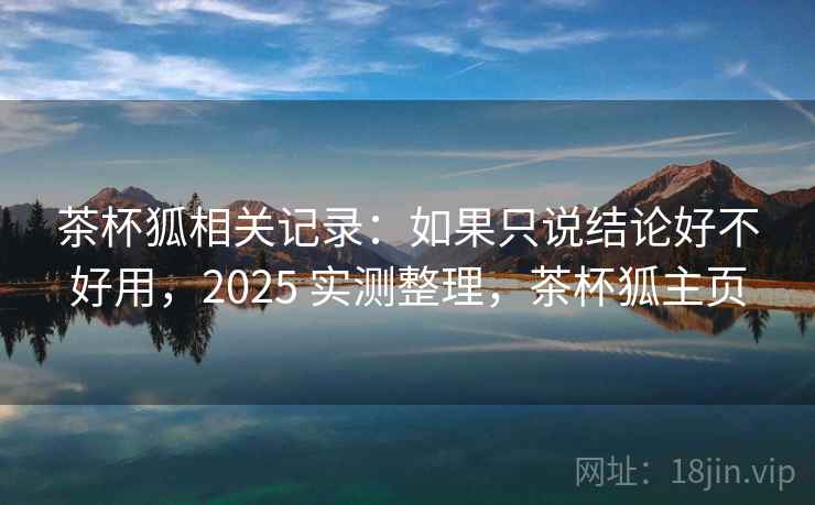 茶杯狐相关记录：如果只说结论好不好用，2025 实测整理，茶杯狐主页