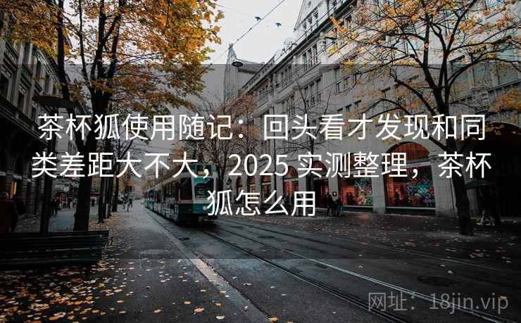 茶杯狐使用随记：回头看才发现和同类差距大不大，2025 实测整理，茶杯狐怎么用