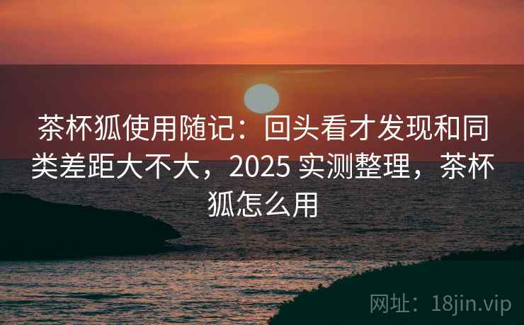 茶杯狐使用随记：回头看才发现和同类差距大不大，2025 实测整理，茶杯狐怎么用