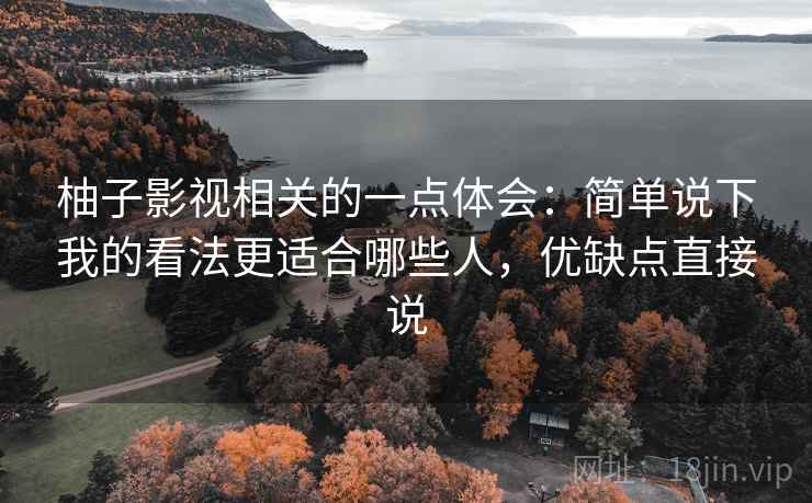 柚子影视相关的一点体会：简单说下我的看法更适合哪些人，优缺点直接说