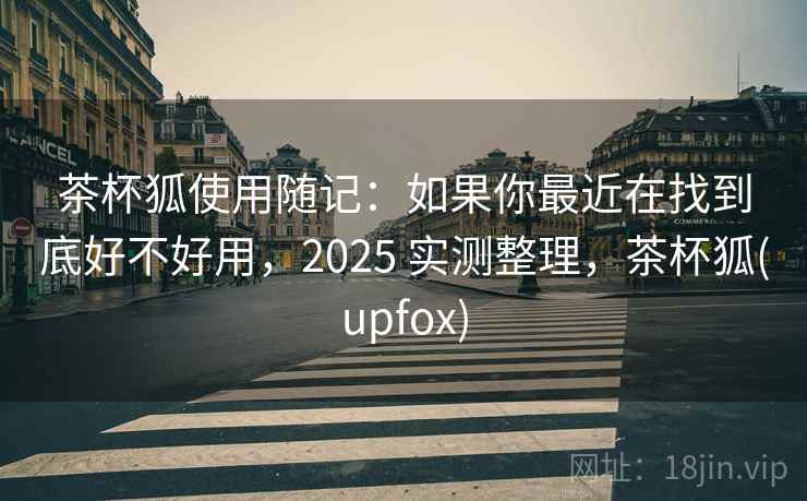 茶杯狐使用随记：如果你最近在找到底好不好用，2025 实测整理，茶杯狐(upfox)