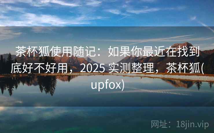 茶杯狐使用随记：如果你最近在找到底好不好用，2025 实测整理，茶杯狐(upfox)