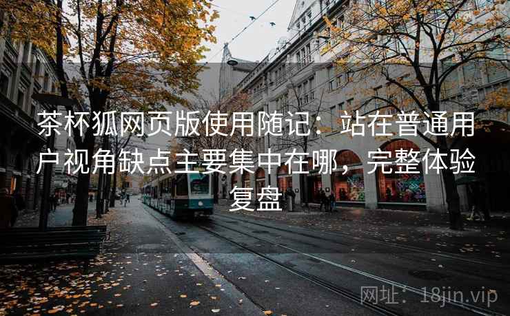 茶杯狐网页版使用随记：站在普通用户视角缺点主要集中在哪，完整体验复盘